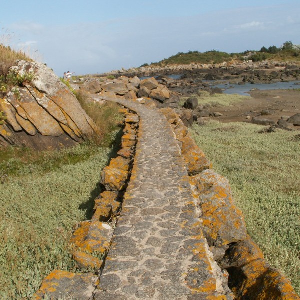 SHORELINE TRAIL