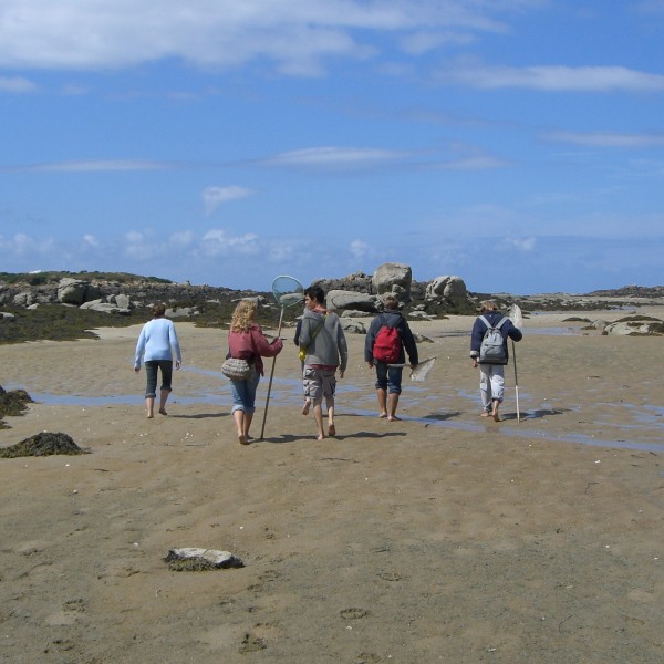 LA PÊCHE À PIED